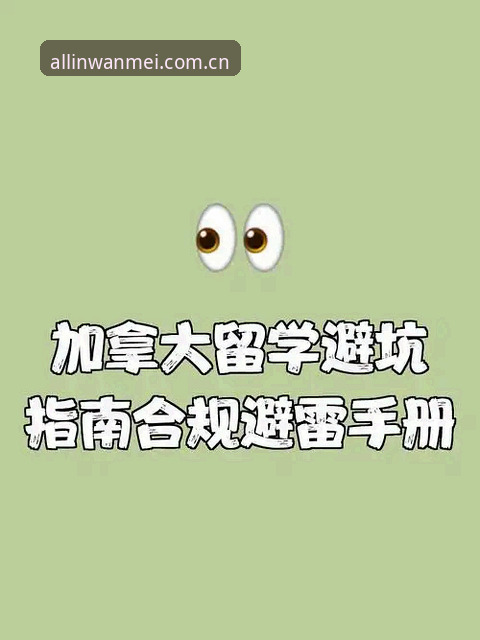 完美体育官网登录常见问题实用指南：入口、客户端与地址的避坑手册